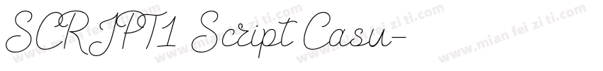 SCRIPT1 Script Casu字体转换